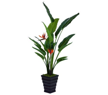 Planta Artificial Paraiso de los Pajaros 760-16-2-3